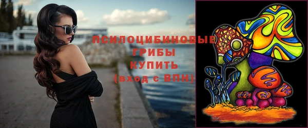 ПСИЛОЦИБИНОВЫЕ ГРИБЫ Балабаново