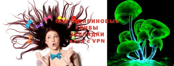 ПСИЛОЦИБИНОВЫЕ ГРИБЫ Балабаново